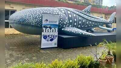 SOPs soon to conserve marine megafauna: fisheries director