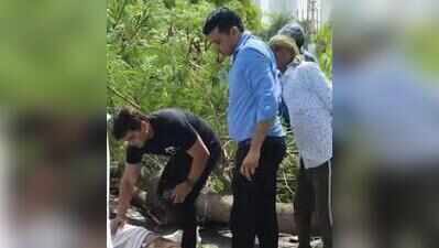 Man dies after tree falls on his bike in Sector 102
