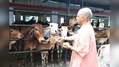 Yogi orders stringent action against land mafia, influential encroachers