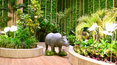 Why Guwahati airport has 1 lakh plants, the idea that turned it into a ‘living forest’