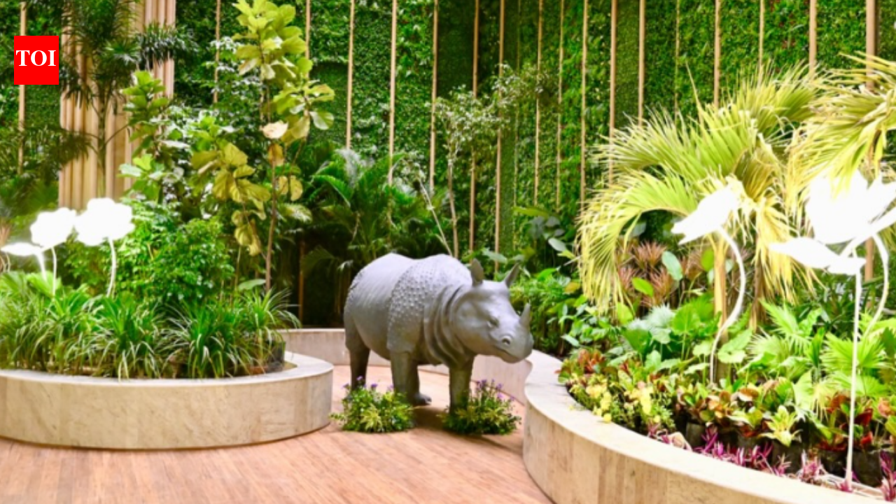 Why Guwahati airport has 1 lakh plants, the idea that turned it into a 'living forest'