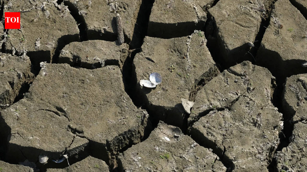England’s water network buckles under sudden summer drought