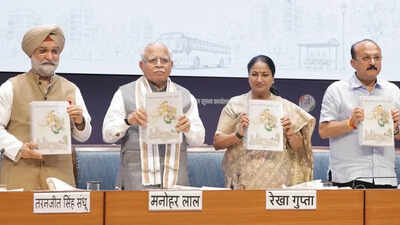 Delhi’s MPD-2047 launched by DDA: From property rules to development norms, 10 key FAQs answered