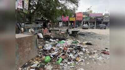 Garbage crisis: Despite HC-panel report, little change on ground as sanitation strike enters 23rd day