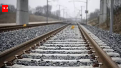 Days after mother's death, Faridabad man jumps in front of moving train; dies