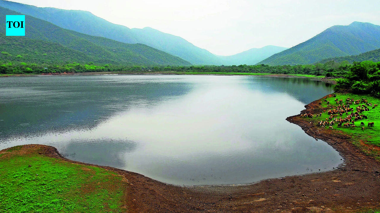 Tamil Nadu Awaits Governor Nod on Water Bill as Groundwater Falls