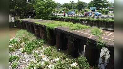 At 176, ‘Bridge to Nowhere’ Fights Monumental Neglect