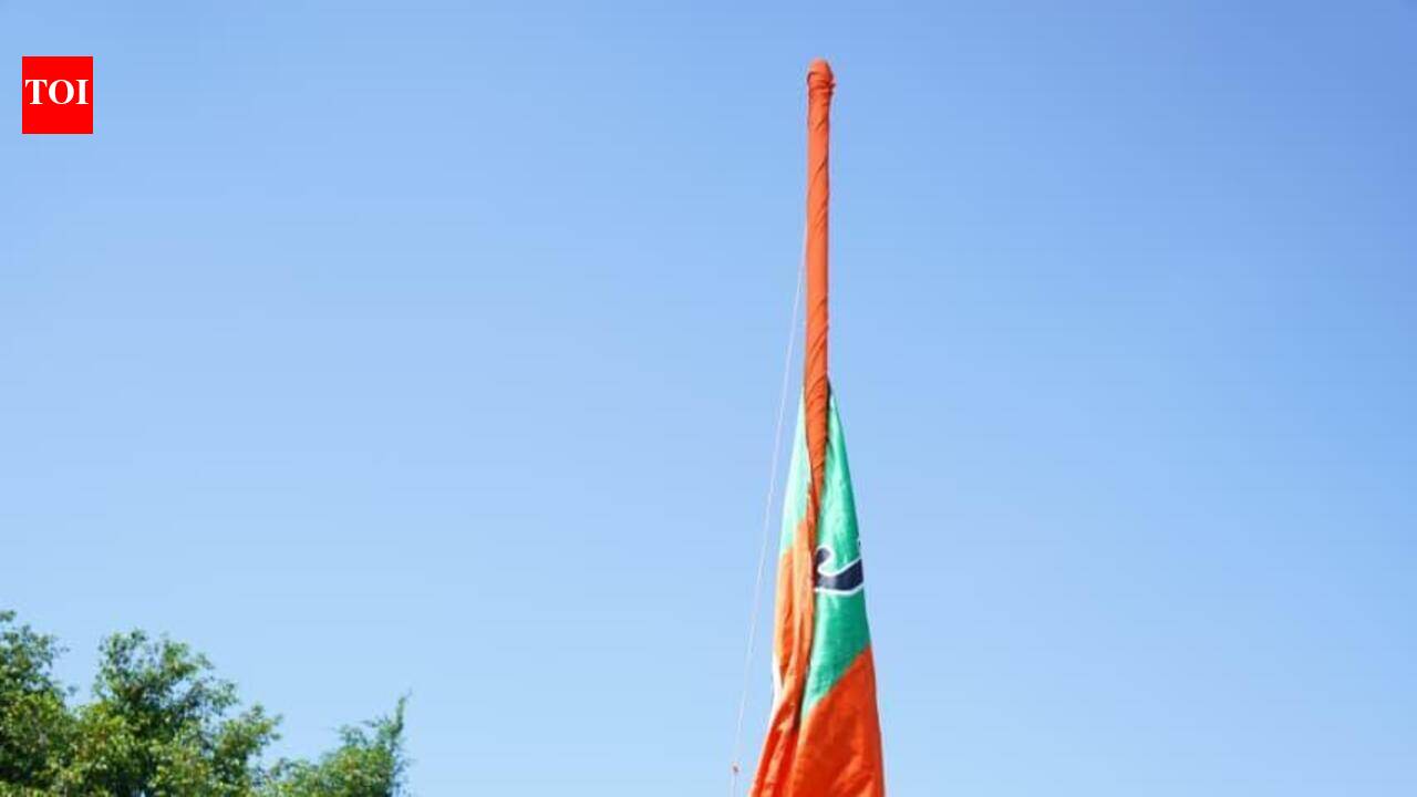 Ken-Betwa project key to Bundelkhand: BJP