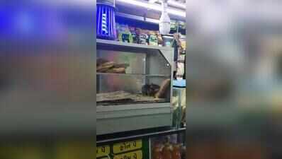 Rat caught feasting on puff at food stall in Surat railway station