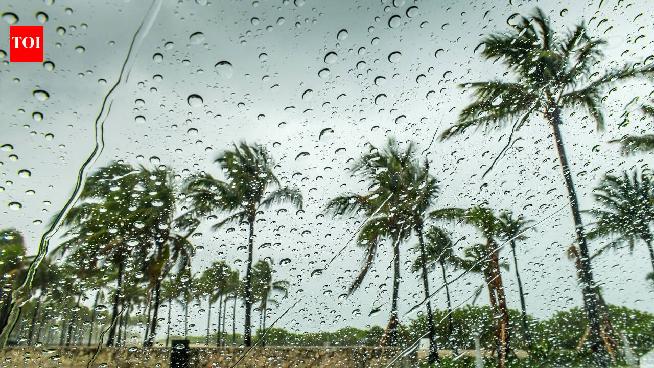 Life StyleRain fury to continue across India: IMD 