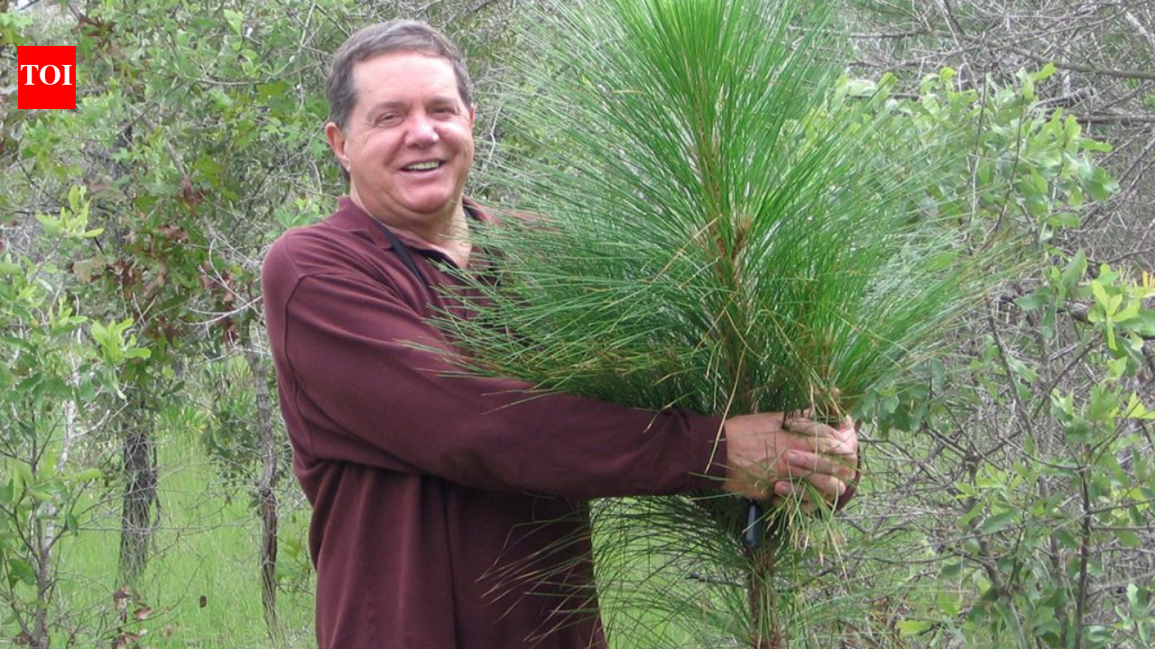 A man bought 51,000 acres of degraded land in Florida; decades later, it is the largest private restoration project east of the Mississippi