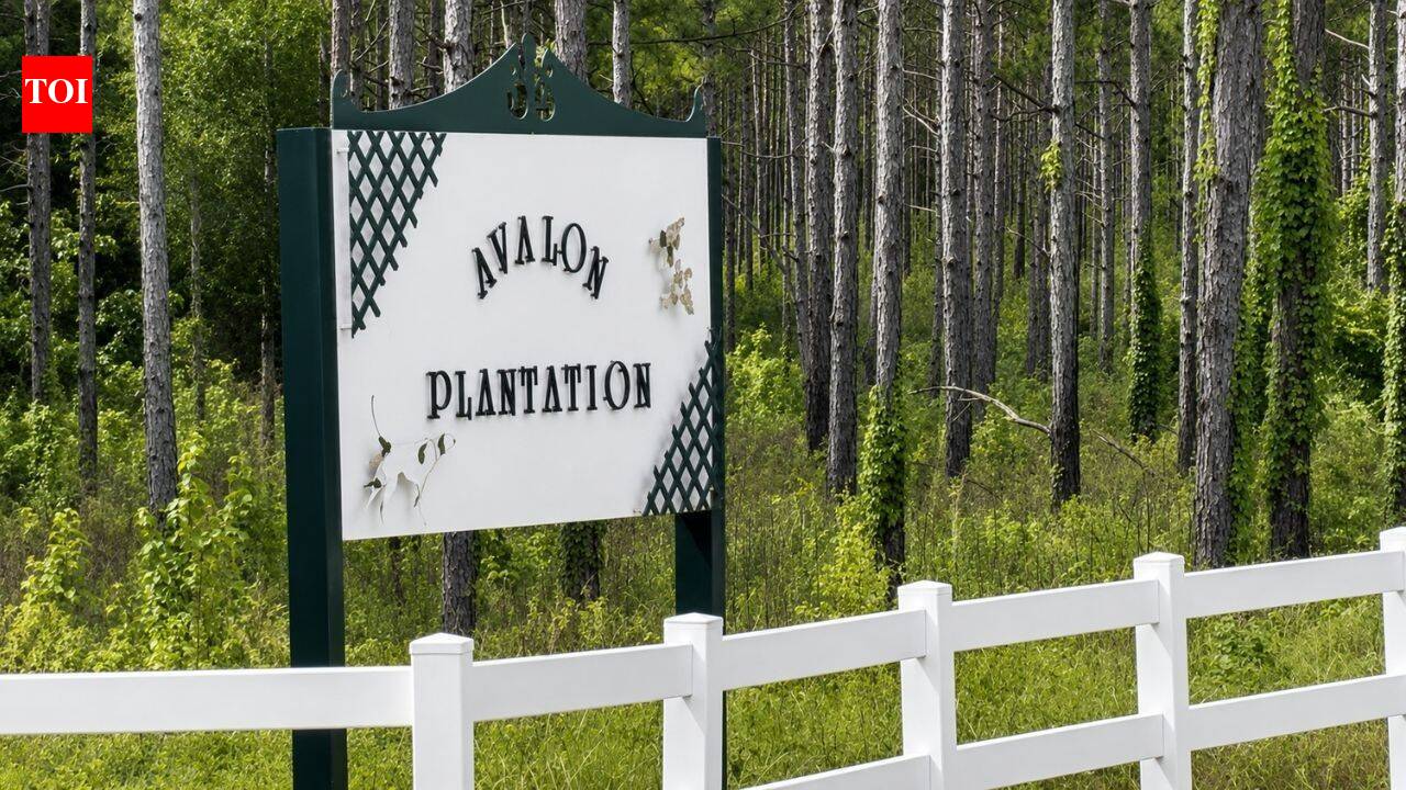 CNN founder Ted Turner bought thousands of acres in Florida which turned into a wildlife hub