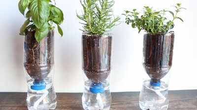 Don’t throw away your empty plastic bottles: turn one into a simple self-watering planter at home and keep your plants hydrated with this easy DIY trick