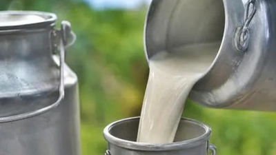Milk gets costlier: Tamil Nadu raises procurement price; wholesale prices in Mumbai to cross Rs 100