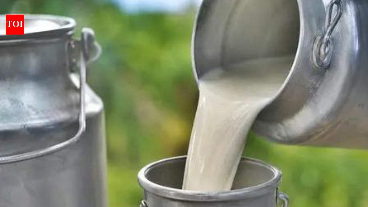 Milk gets costlier: Tamil Nadu raises procurement 