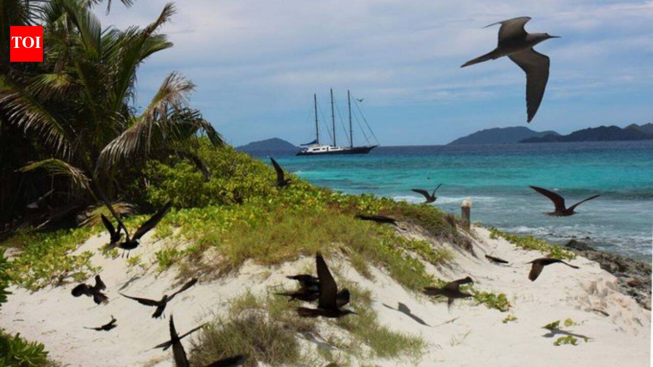 In 1973, Cadbury saved a stripped Seychelles island; today, more than 1M seabirds breed there yearly