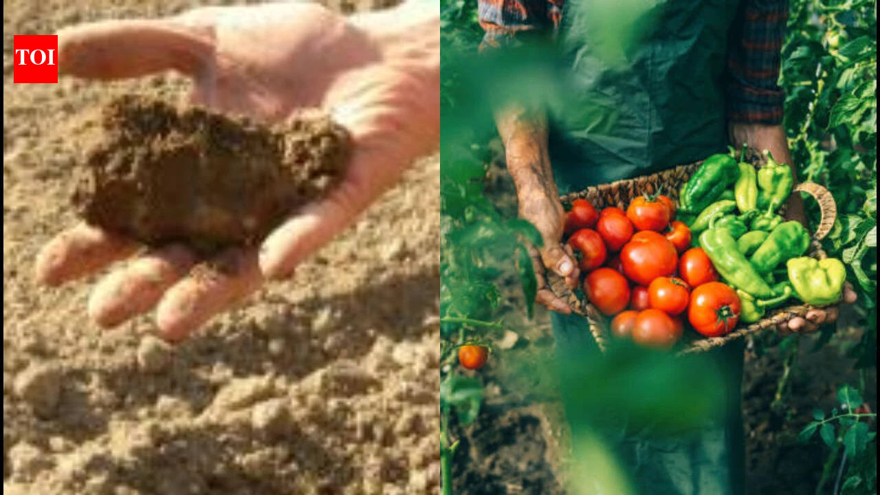 Oregon farmer grows crops for 40 years without irrigation