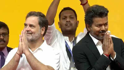 Rahul or Vijay for PM? Congress-TVK rift talk grows after MLA’s seat shift