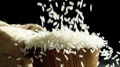 India's rice bowl gets global audience as 3,317 buyers sign up for BIRC 2026