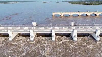‘Released excess water’: Karnataka tells SC amid Tamil Nadu’s Cauvery plea