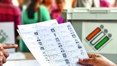 Delhi voter roll revision: Here’s what to do if your name is missing from draft list