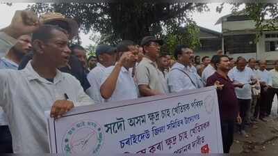 Flood-hit Charaideo small tea growers seek Rs 10,000 per bigha aid