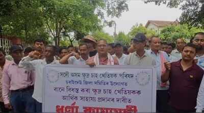 Flood-hit Charaideo small tea growers seek Rs 10,000 per bigha aid