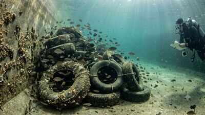In 1994, researchers in California and Arizona turned discarded tyres into underwater reefs and found 20 times more fish in concrete canals