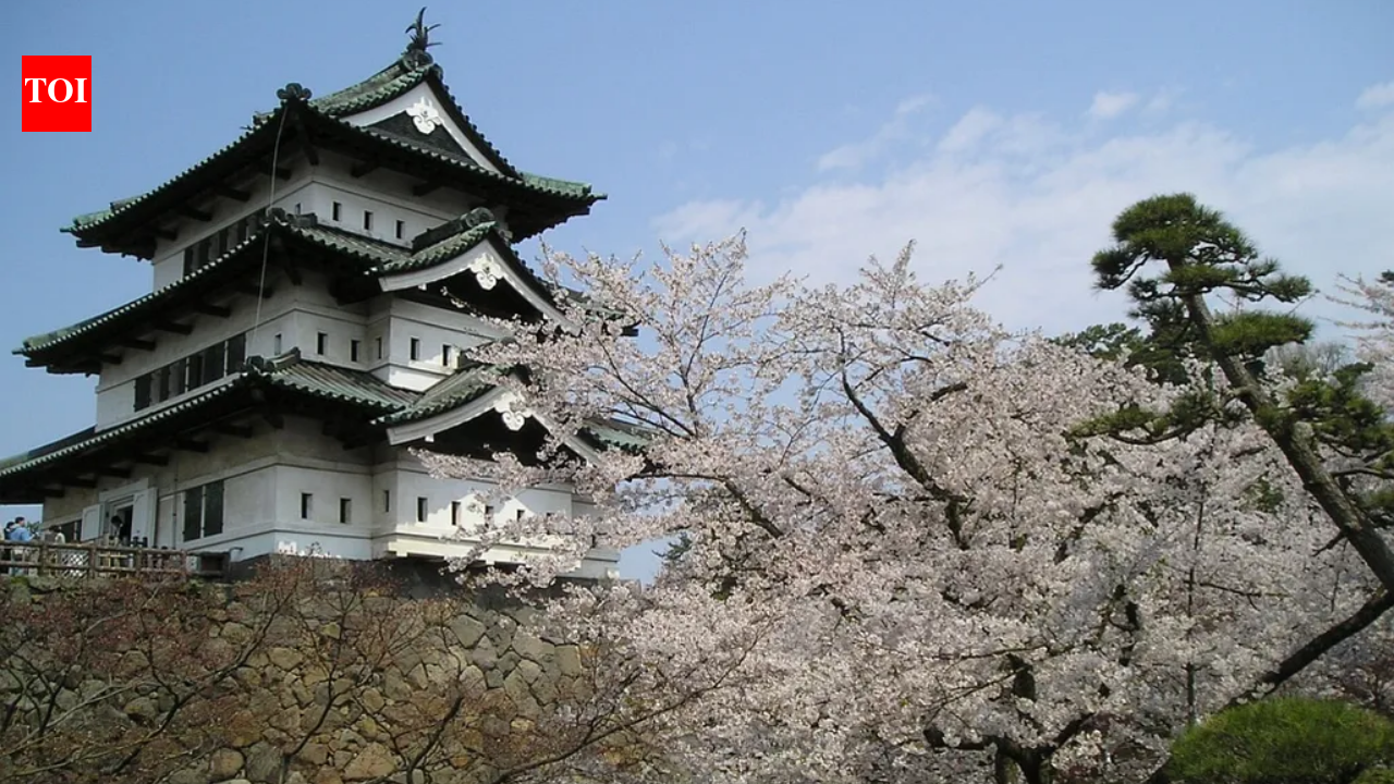 1,800 volunteers took turns pulling a 400-ton Japanese castle with ropes and...