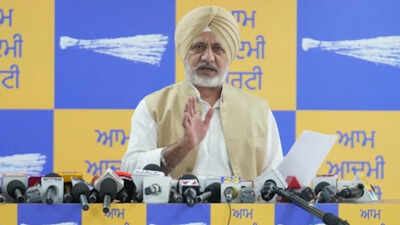 Punjab groundwater crisis shows signs of reversal, AAP cites rise in canal-water use