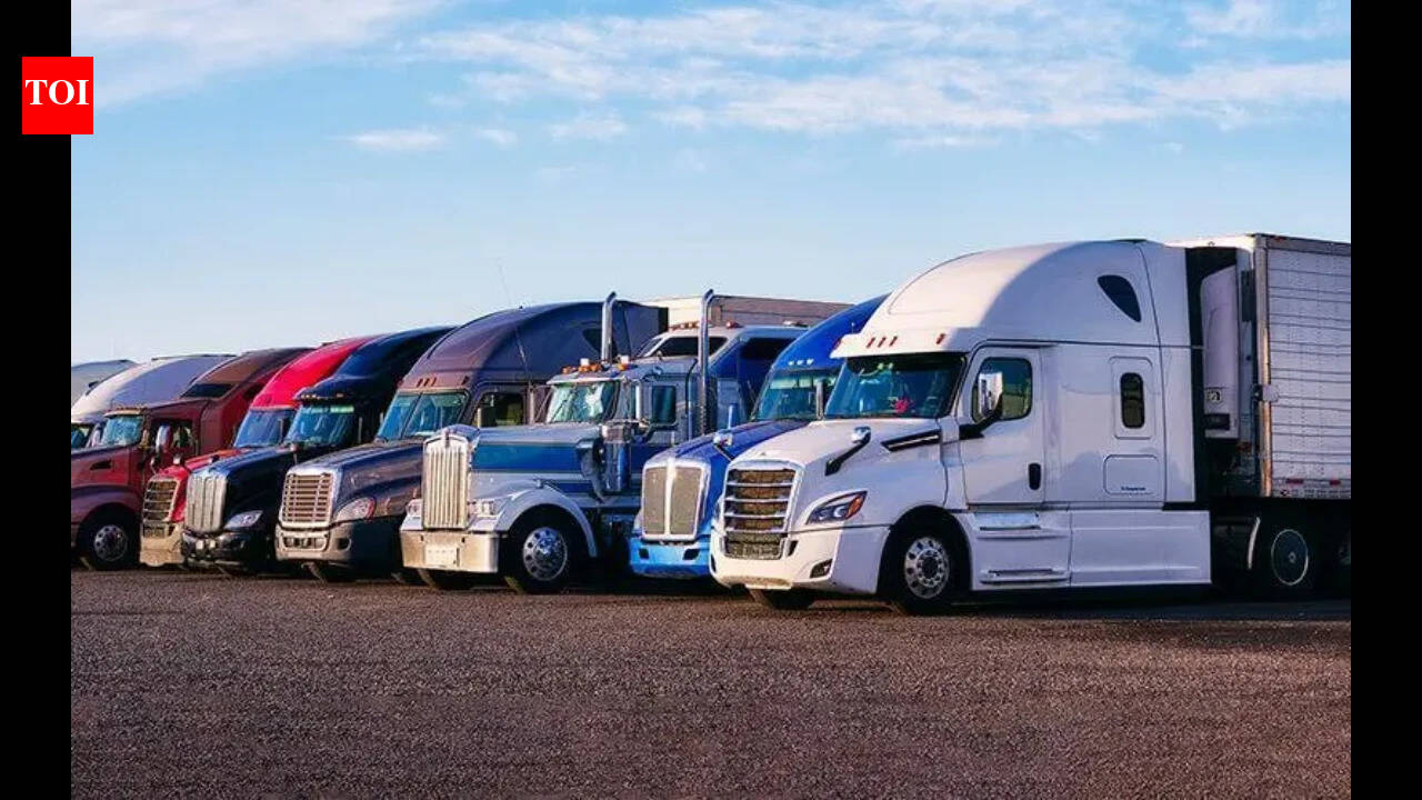 US announces emergency executive shutdown of 110 driving schools for 5000 violations: 'No English, no trucking - it's common sense'