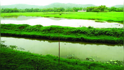 Bill to fasttrack land-grabbing cases introduced in House