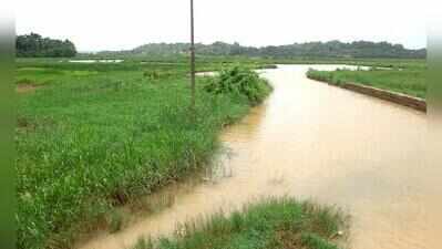 Goa seeks Rs 476cr for Khazan land rejuvenation
