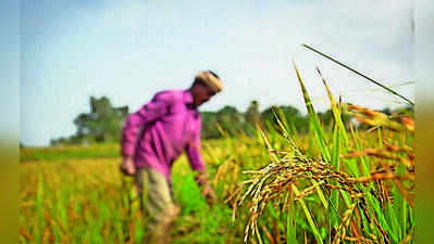 El Nino: Andhra Pradesh rain deficit widens to 45% after dry August