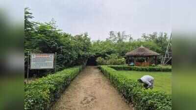 Awadh forest division bags third prize at NHAI Green awards