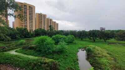 Residents say concrete no to MC’s fairground proposal