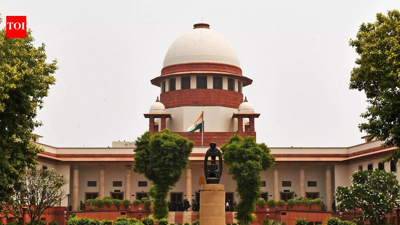 SC: Externment orders cannot be passed routinely, require reasons | India News  timesofindia.indiatimes.com