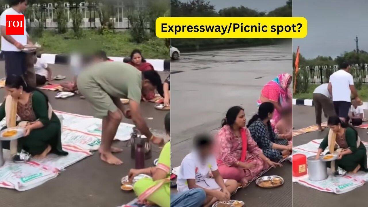 ‘Not a picnic spot’: Rajasthan family turns newly built expressway into picnic spot, draws massive backlash; here are 7 better places for a family outing - The Times of India