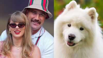 Taylor Swift and Travis Kelce own a Samoyed dog, the breed known for its famous “smile”: Here’s the fascinating evolutionary story behind one of the world’s most recognisable dog faces