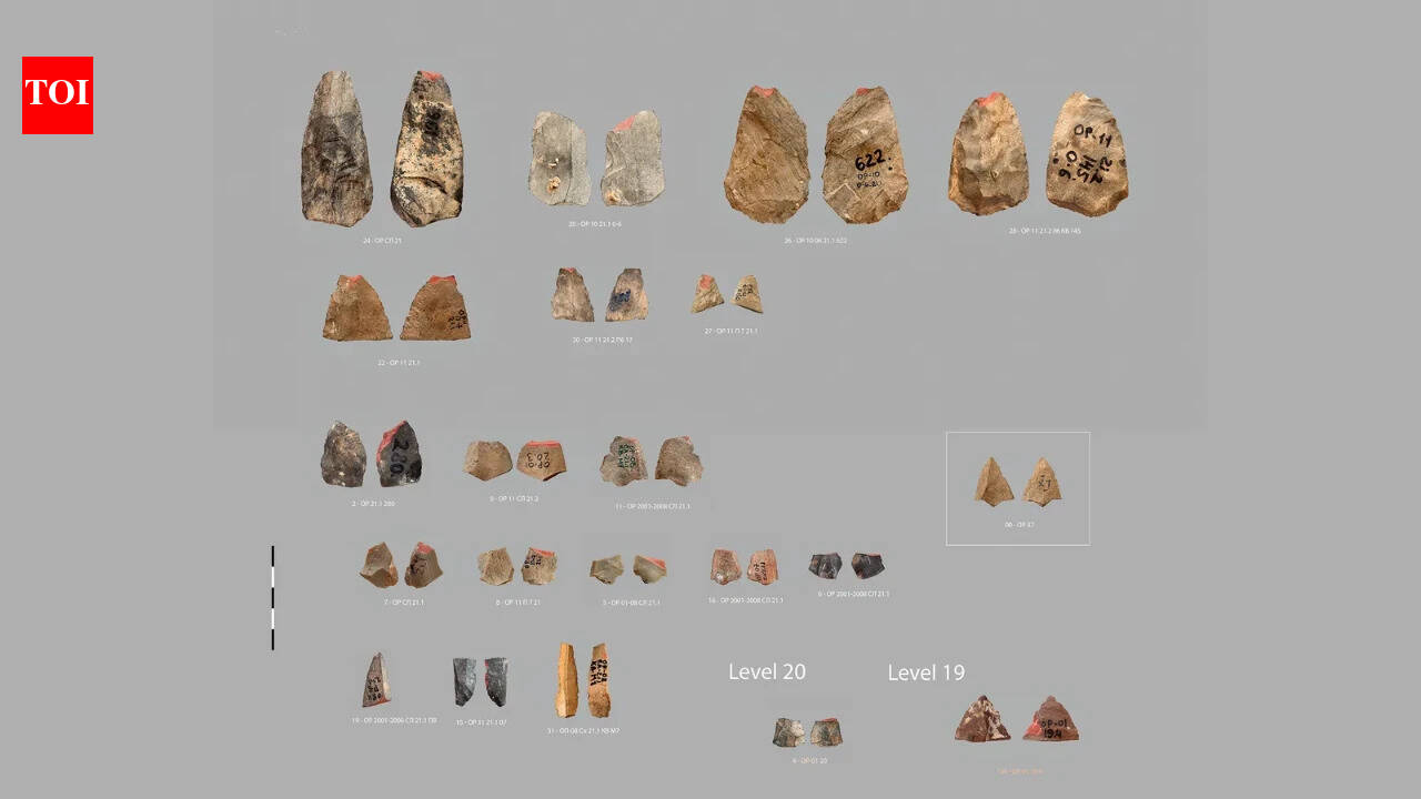 Ancient Uzbek tools resemble European weapons made 25,000 years later