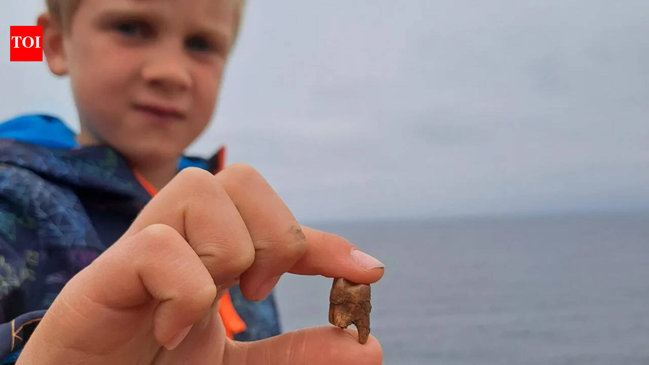 Meet Arthur, the 7-year-old British boy who found ancient human teeth