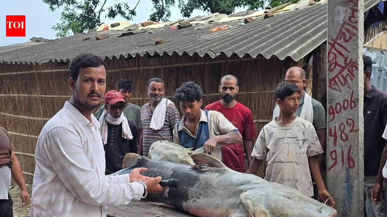 Flood-borne fish from Nepal prompt caution in Gandak belt