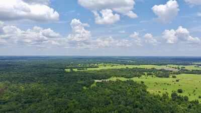 A first-generation Florida rancher spent years saving to buy 660 acres; he is now protecting it for panthers and snakes