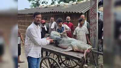 Nepal floods bring 'unusual' fish to Bihar, govt warns people not to eat or sell them
