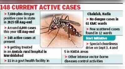 4,000 dengue cases in state so far against 7,600 last yr, 1 death: CM