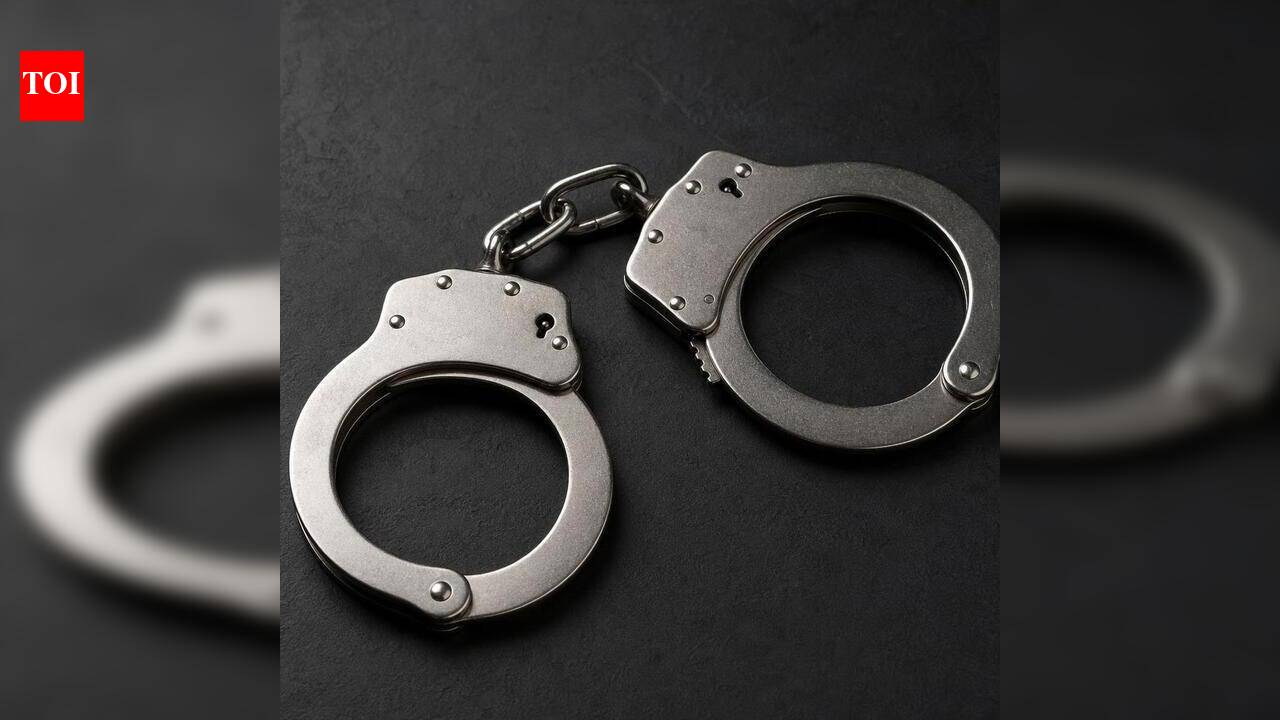 Man held for kidnapping and assaulting Navaikulam panchayat vice-president - The Times of India
