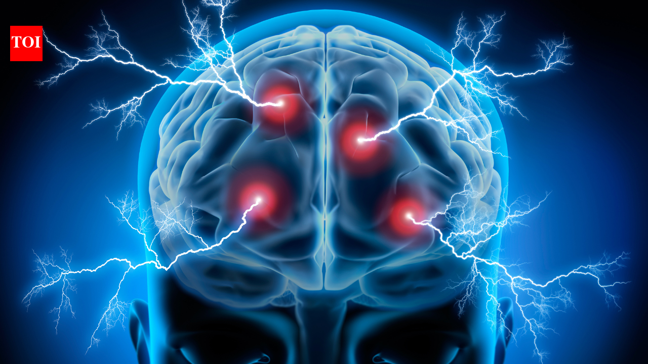 Forgetting things too often? These everyday food combinations may support memory and brain health - The Times of India