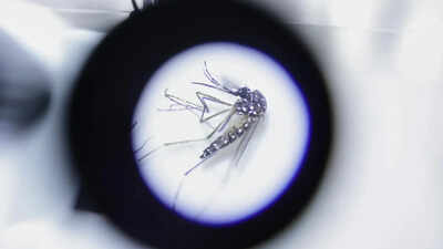 Northeast faces new vector threat as diseases spread to new areas: Health panel