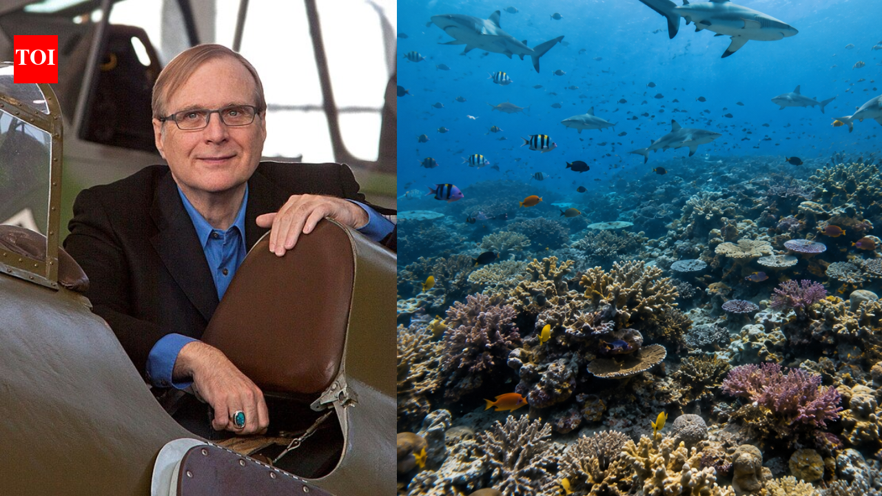 In 2015, Paul Allen launched a shark survey across 58 countries; 20% of reefs lacked sharks