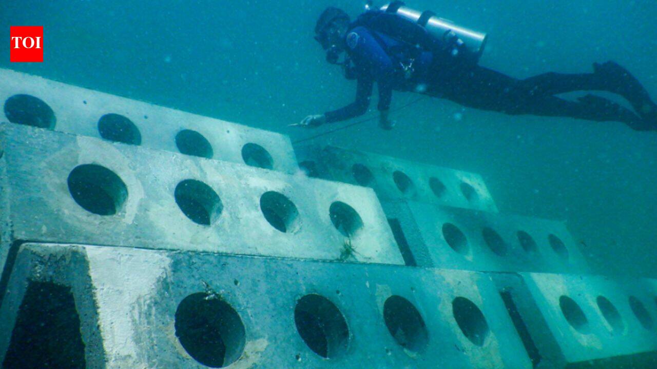 12 artificial reefs created in 1998 boosted local fish numbers and species richness off Miami Beach